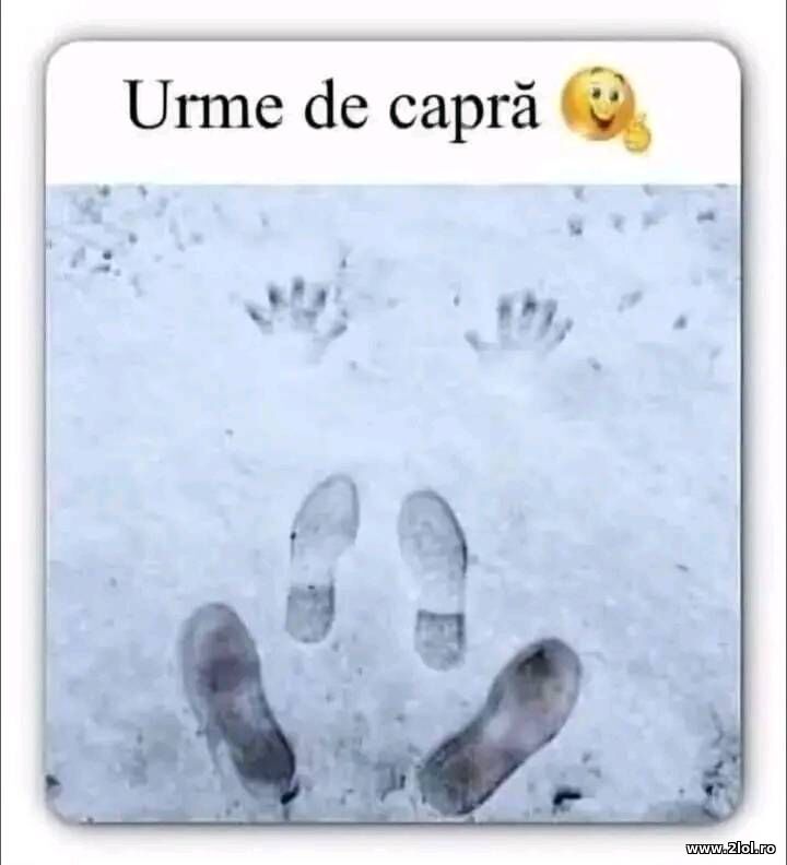 Urme de capra | poze haioase