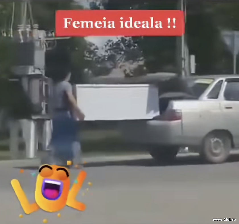 Femaia ideala | poze haioase