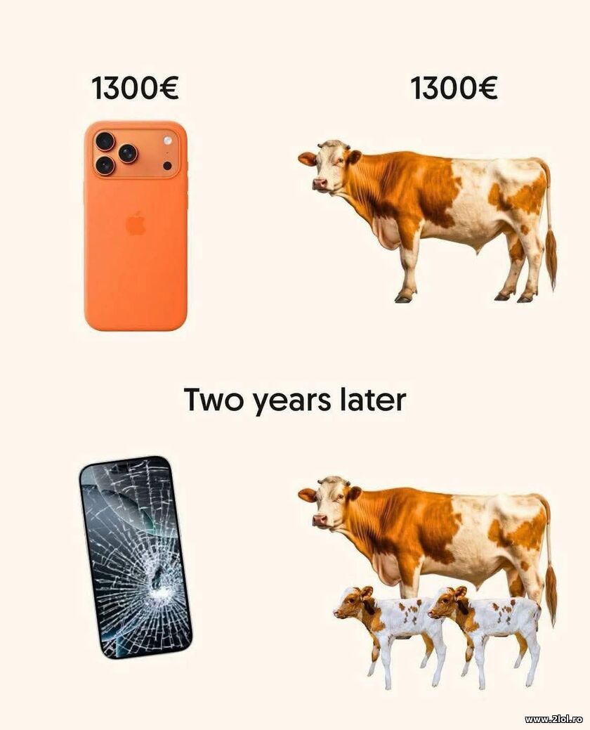 O vaca si un iPhone 17 | poze haioase
