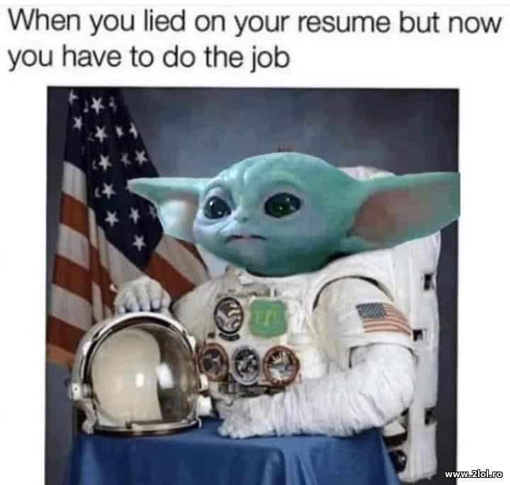 When you lied on your resume | poze haioase
