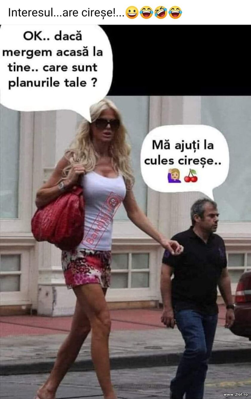 Pe interes | poze haioase