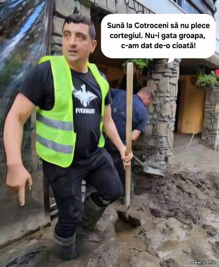 Suna la Cotroceni | poze haioase