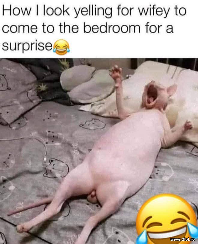 How I look | poze haioase