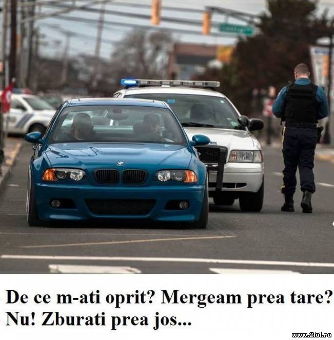 De ce m-ați oprit? Mergeam prea tare? | poze haioase