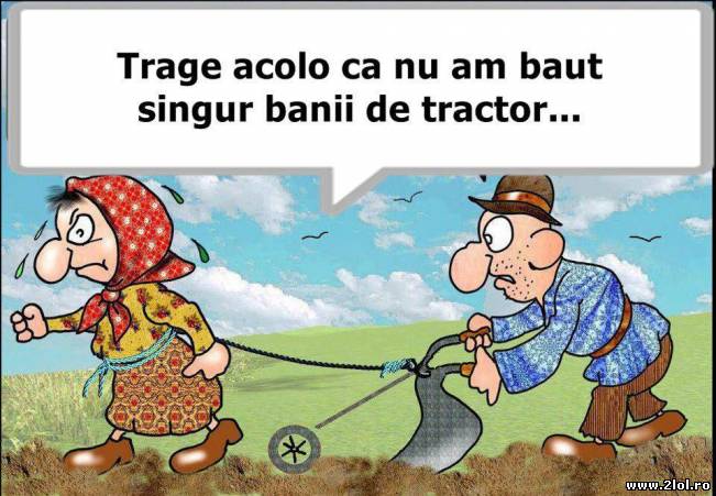 De aici și vorba "și la bine și la rău" | poze haioase