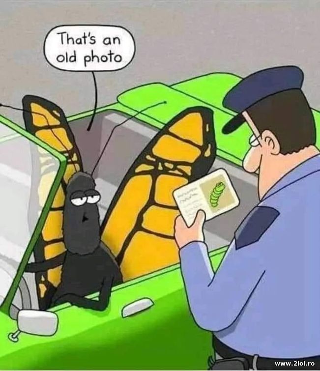 That’s an old photo | poze haioase