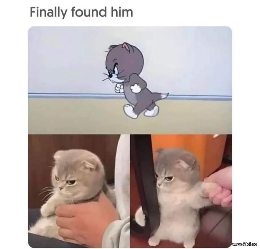 Finally I found him. Tom kid | poze haioase