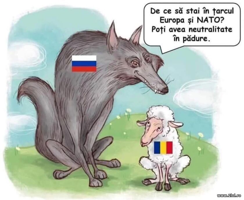 De ce sa stai | poze haioase