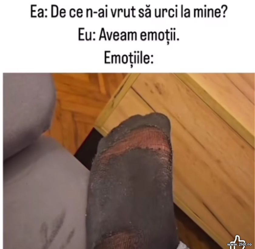 De ce n-ai vrut sa urci la mine? | poze haioase