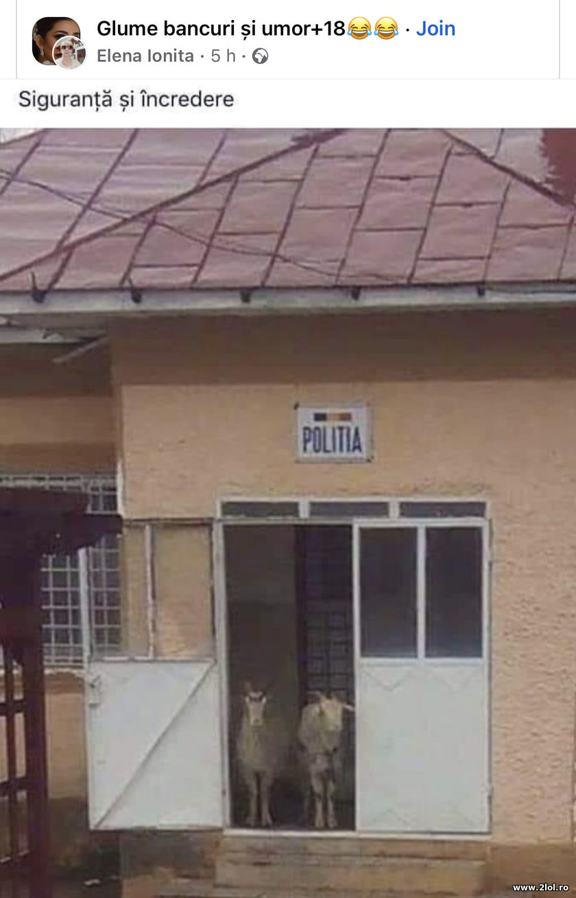 Siguranta si incredere | poze haioase