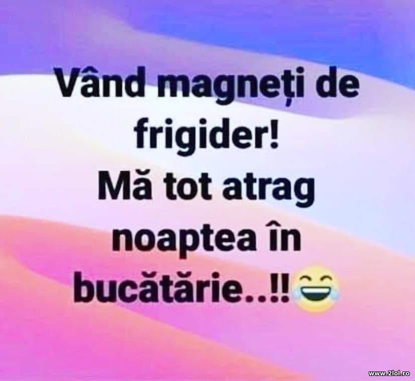 Vand magneti de frigider | poze haioase