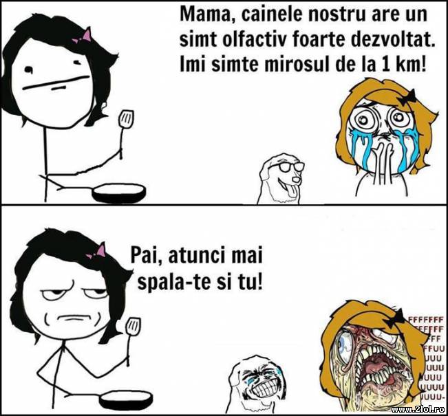 Câinele nostru are simt olfactiv foarte dezvoltat | poze haioase