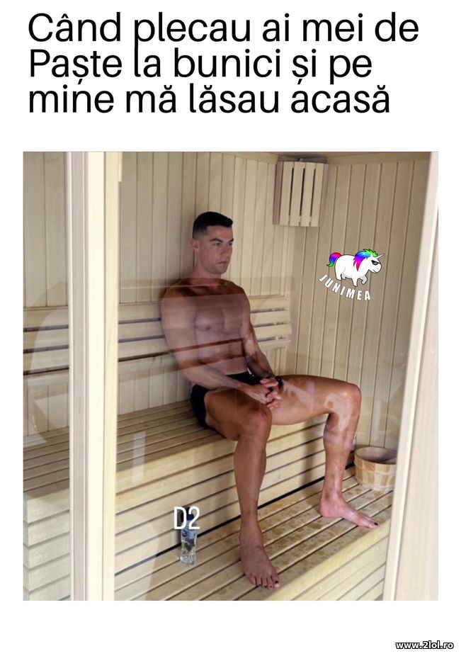 Cand plecau ai mei de Paste la bunici - Ronaldo | poze haioase