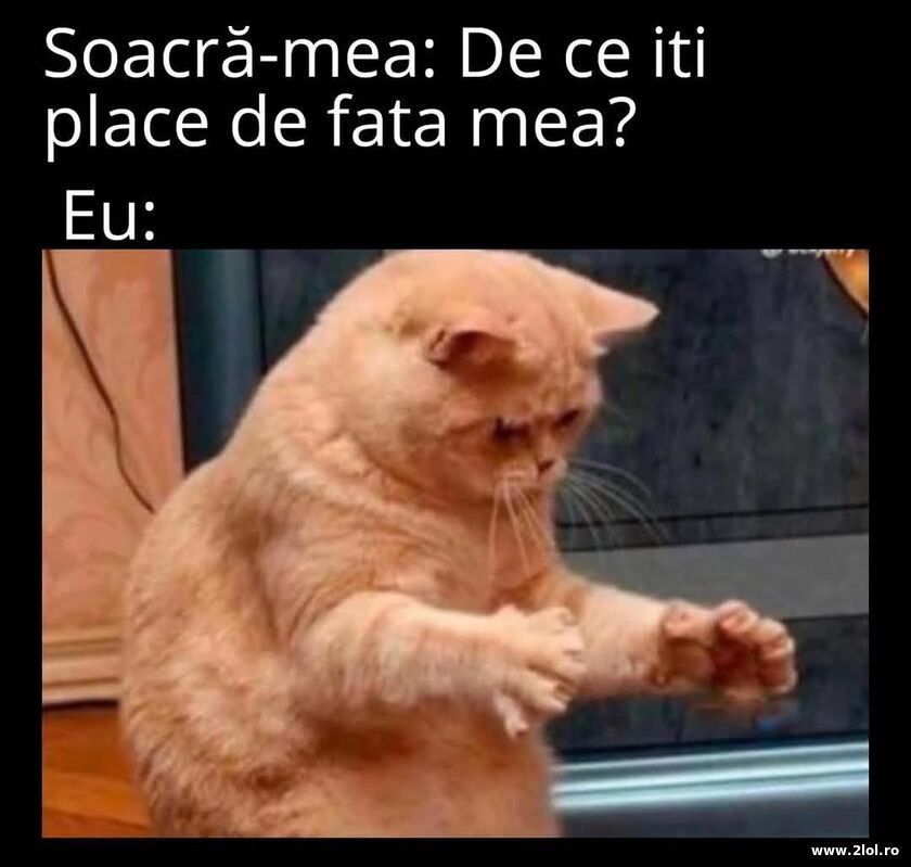 De ce iti place de fata mea? | poze haioase