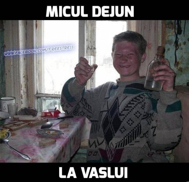 Micul Dejun La Vaslui County | poze haioase