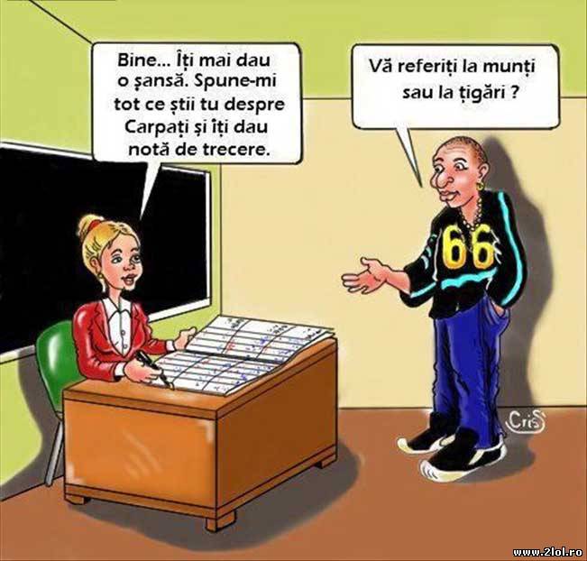 Spune-mi despre Carpați și îți dau notă de trecere | poze haioase