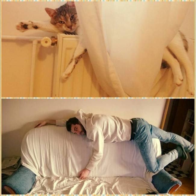 Destul de aproape | poze haioase