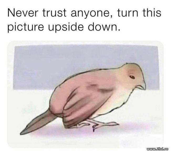 Never trust anyone, turn this picture upside down | poze haioase