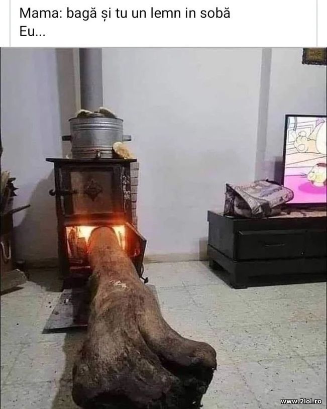 Baga si tu un lemn in soba | poze haioase