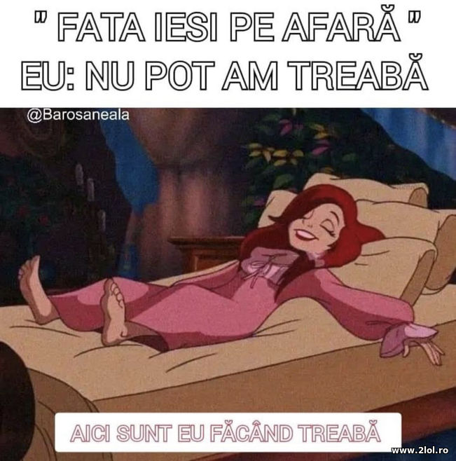 Nu pot am treaba | poze haioase