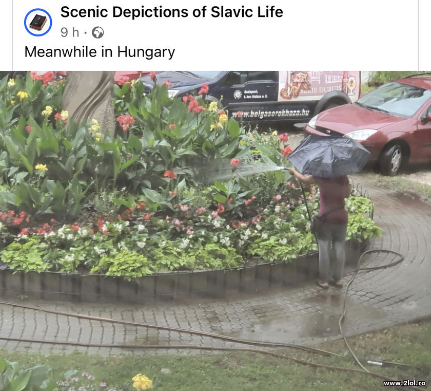 Meanwhile in Hungary | poze haioase