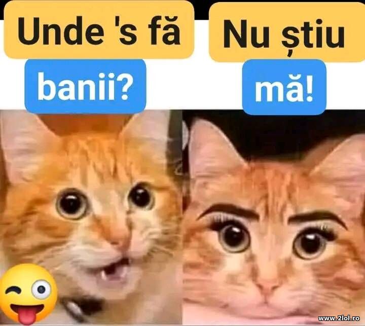 Unde's banii? | poze haioase