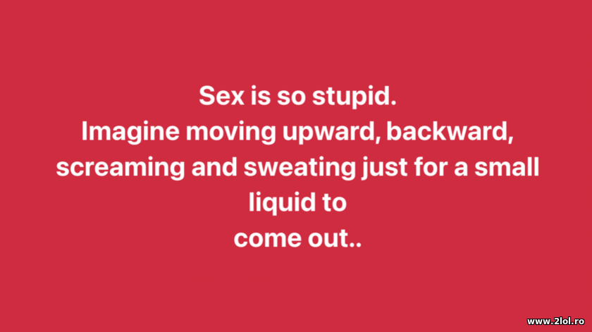 Sx is so stupid | poze haioase
