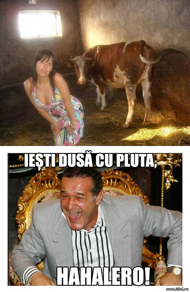 Iești dusă cu pluta, hahalero! | poze haioase