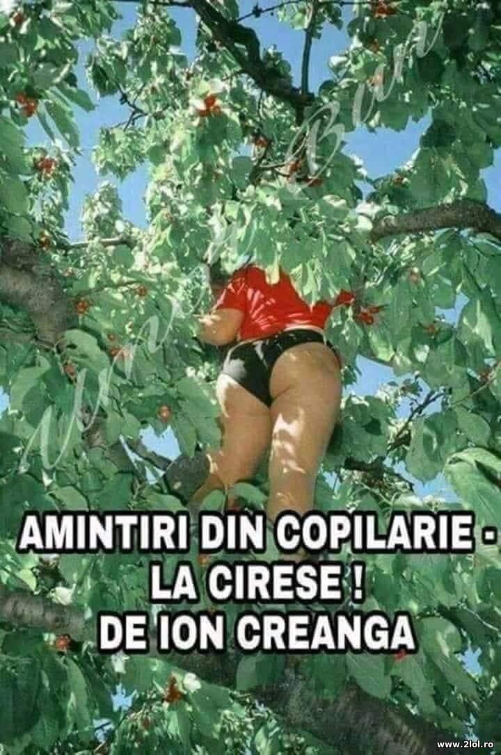 Amintiri din copilarie | poze haioase