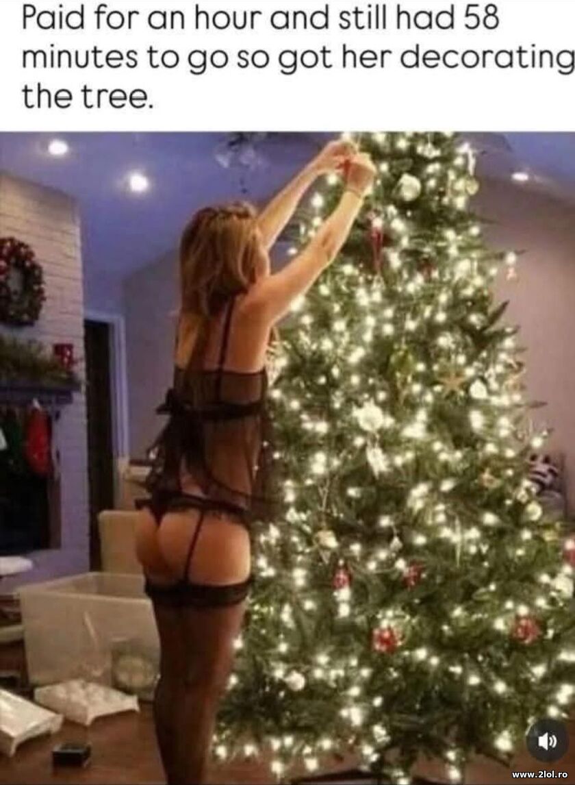 Paid for 1 hour | poze haioase