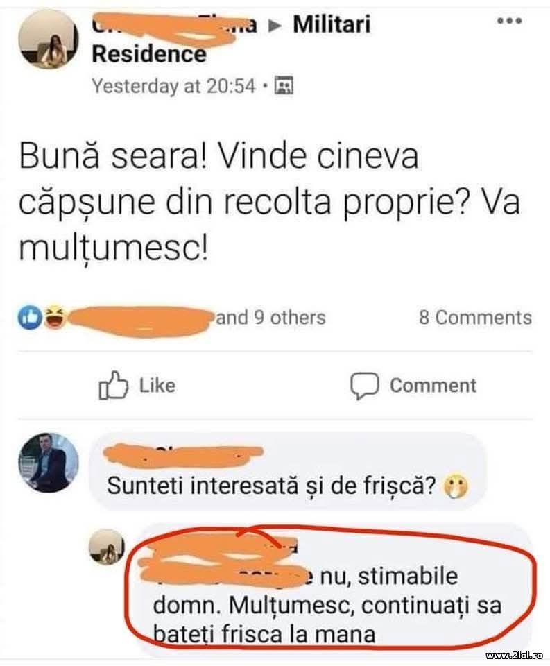 Frisca | poze haioase