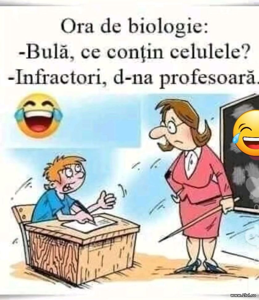 Bula, ce contin celulele? | poze haioase