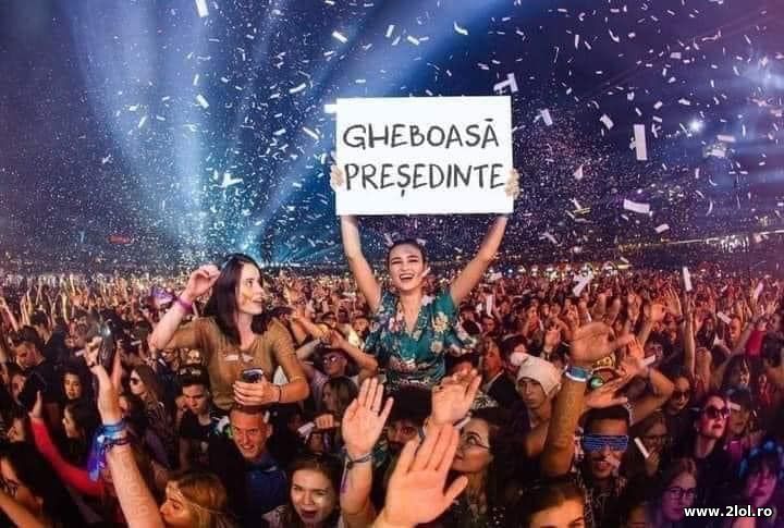 Gheboasa presedinte | poze haioase