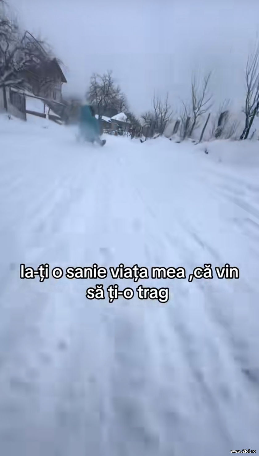 Ia-ti o sanie viata mea, ca vin sa ti-o trag | poze haioase