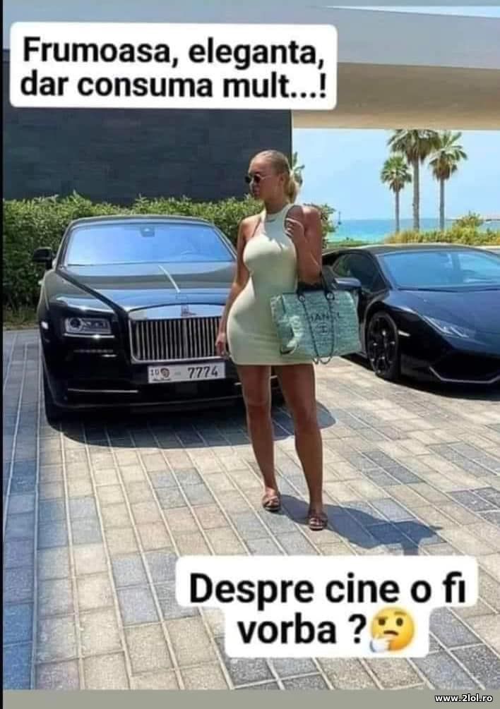 Frumoasa, eleganta dar consuma mult | poze haioase