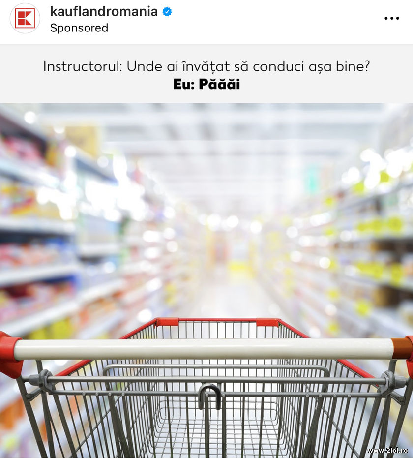 Unde ai invatat sa conduci asa de bine? | poze haioase