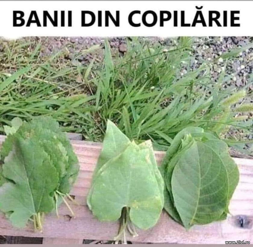 Banii din copilarie | poze haioase