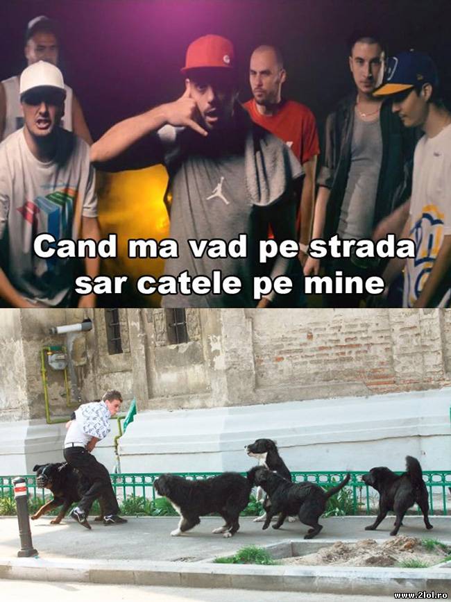 Când mă văd pe stradă, sar cățele pe mine | poze haioase