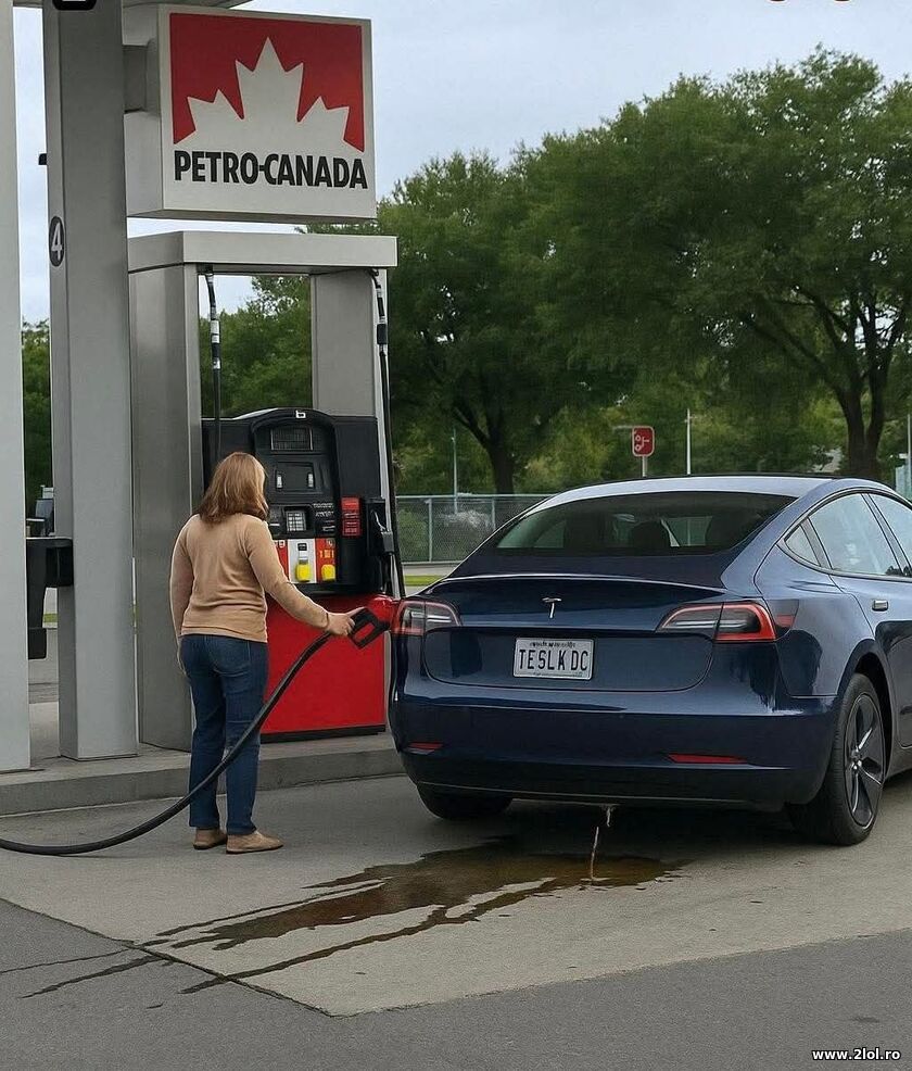 Alimenteaza Tesla | poze haioase