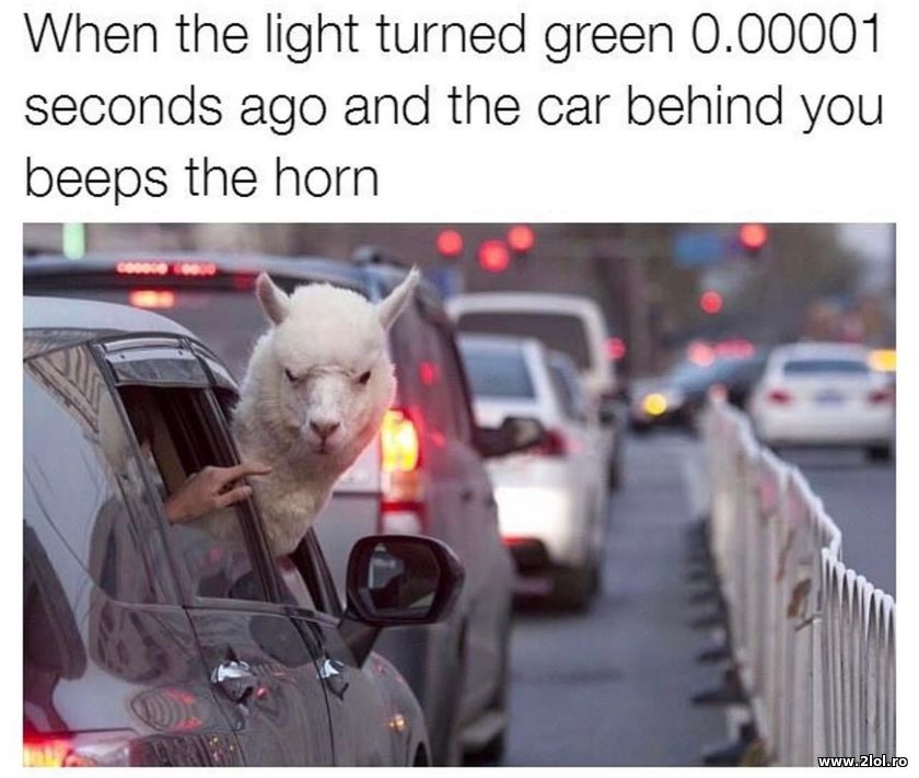 When the light turned green and the car behind you | poze haioase