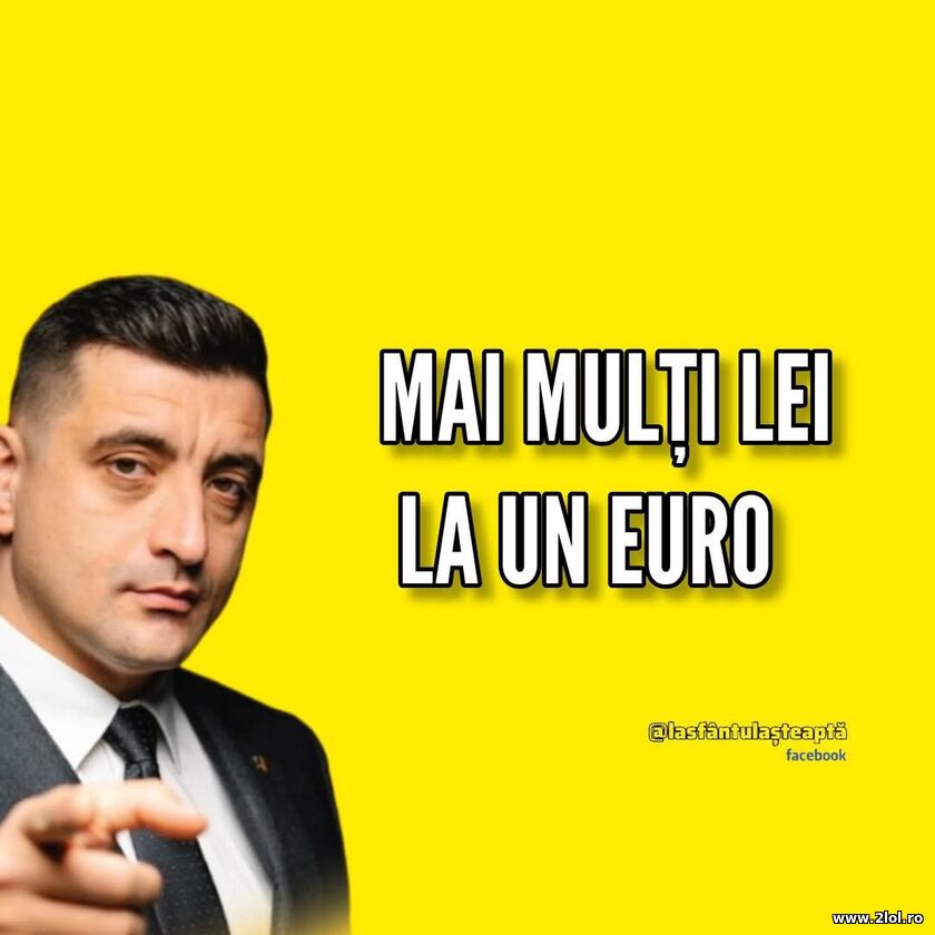 Mai multi lei la un euro | poze haioase