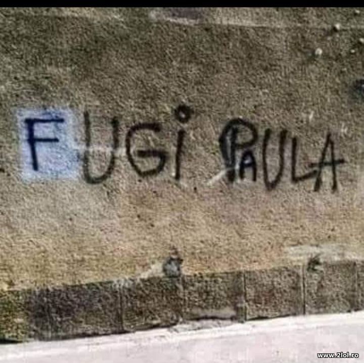Fugi Paula | poze haioase