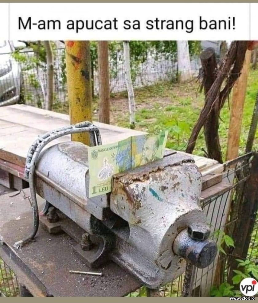 M-am apucat sa strang bani | poze haioase