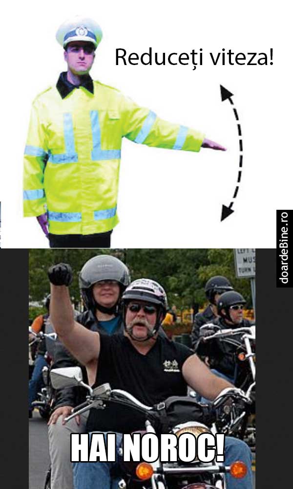 Întotdeauna tratați cu respect organul de poliție | poze haioase