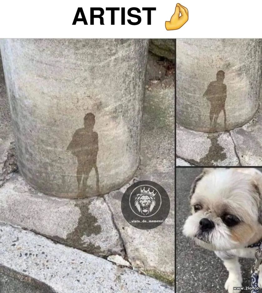 Cainele artist | poze haioase