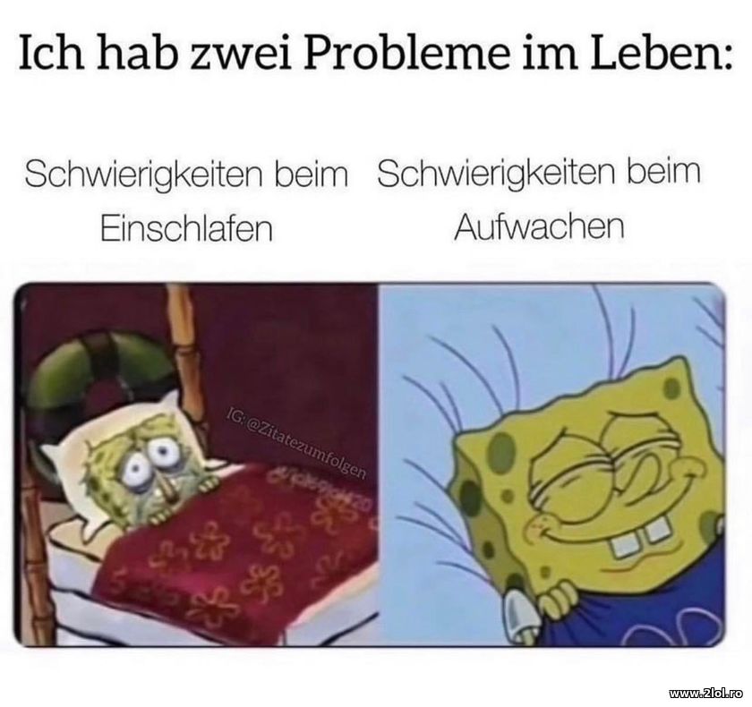 Ich hab zwei Probleme im Leben | poze haioase
