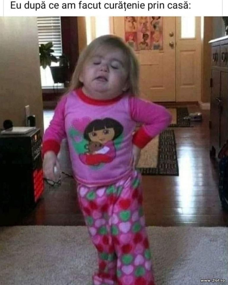 Dupa ce am facut curatenie prin casa | poze haioase