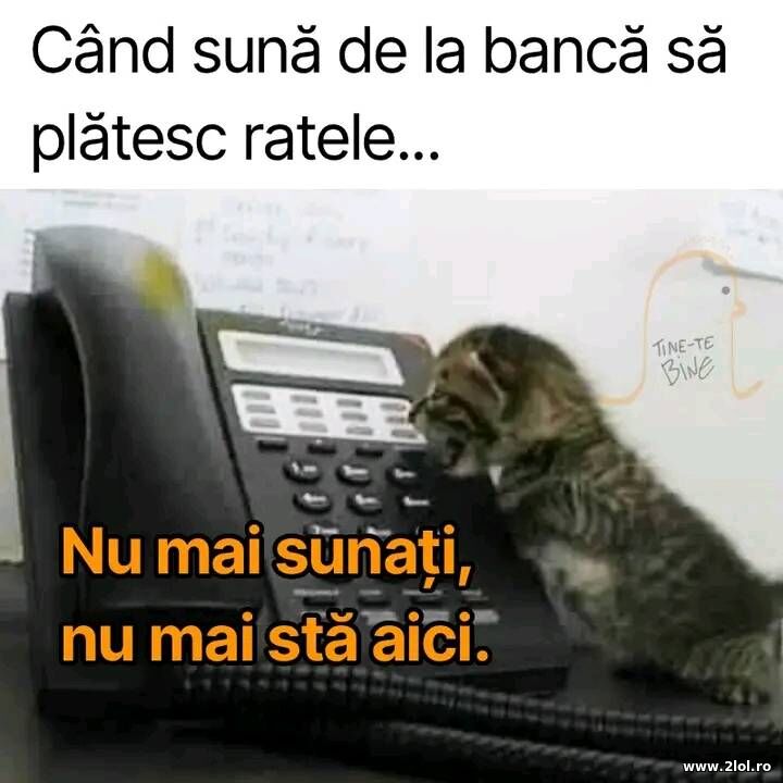 Cand suna de la banca | poze haioase