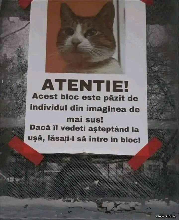 Acest bloc este pazit | poze haioase