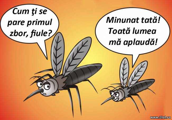 Primul zbor al unui ţânţar | poze haioase